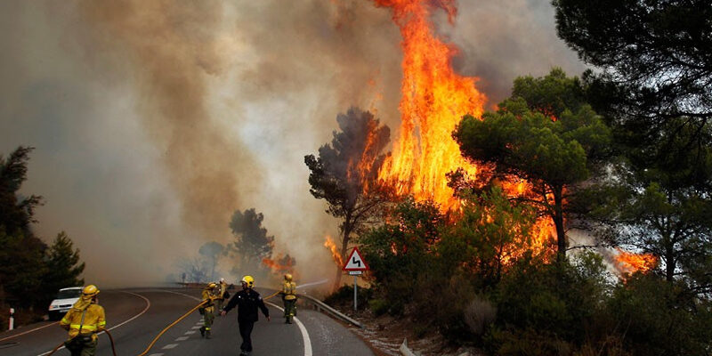Veld Fire in South Africa Benefits of wildfires